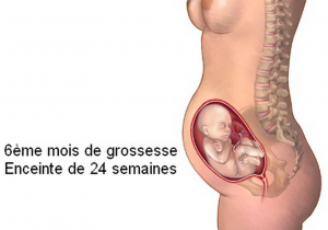 Grossesse a 6 mois