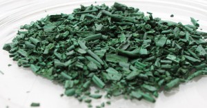 spiruline paillettes