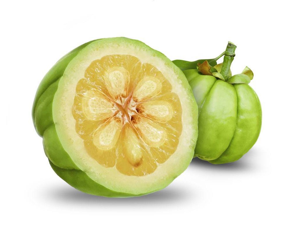 garcinia cambogia